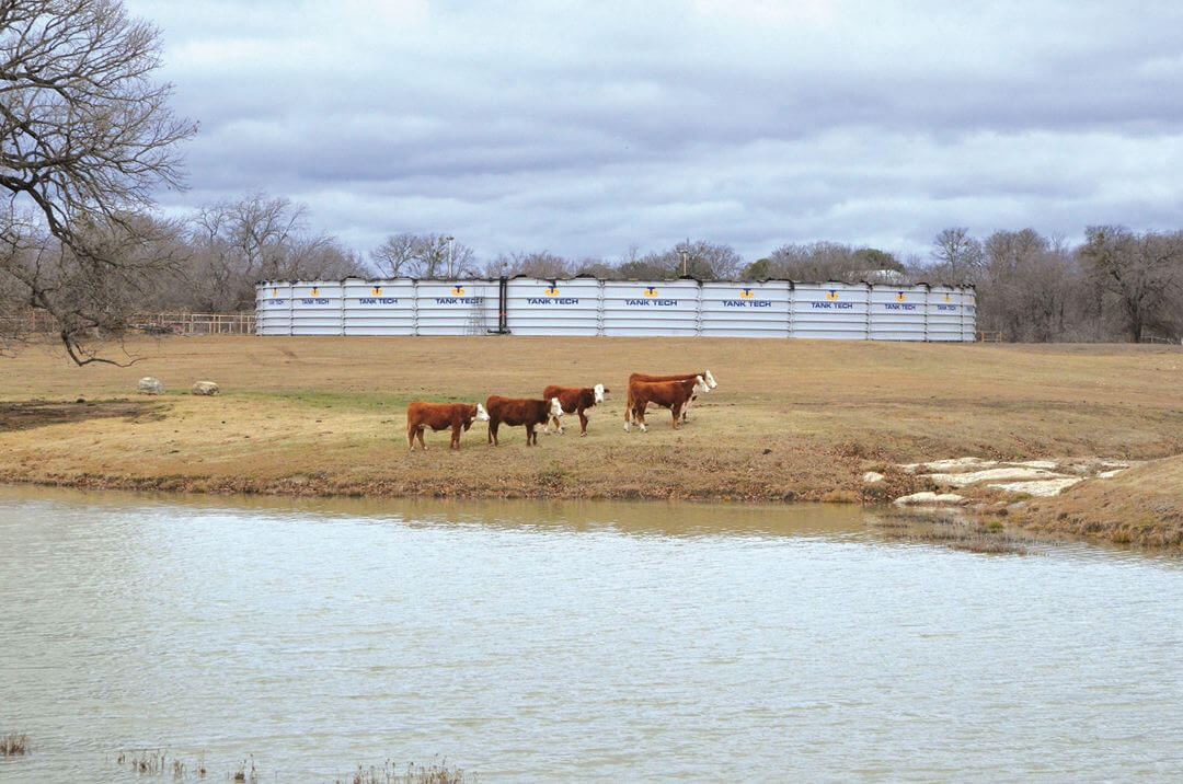 Tank Tech - water tank landscape with cows